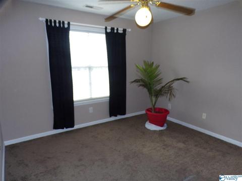 295 County Road 390, Trinity, AL 35673 photo 22