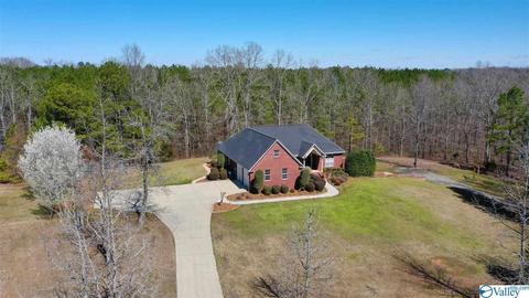 2065 Clinton Pl, Hokes Bluff, AL 35903 photo 50