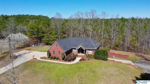 2065 Clinton Pl, Hokes Bluff, AL 35903 photo 44