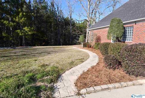 2065 Clinton Pl, Hokes Bluff, AL 35903 photo 45