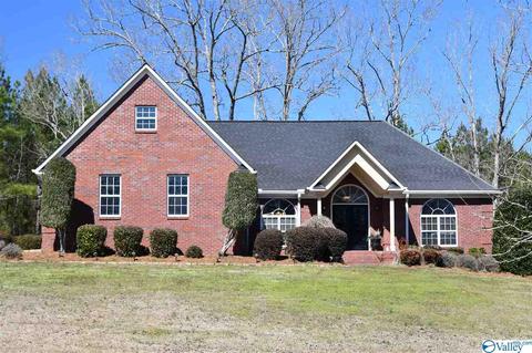 2065 Clinton Pl, Hokes Bluff, AL 35903 photo 2