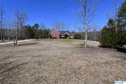 2065 Clinton Pl, Hokes Bluff, AL 35903 photo 48