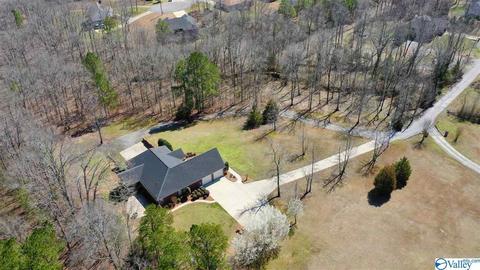 2065 Clinton Pl, Hokes Bluff, AL 35903 photo 49