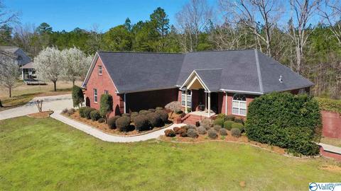 2065 Clinton Pl, Hokes Bluff, AL 35903 photo 1