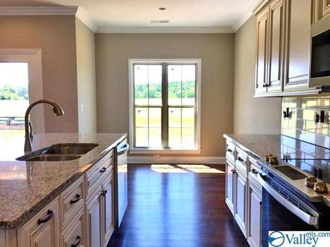 4213 Ruby Pointe Dr, Decatur, AL 35603 photo 4