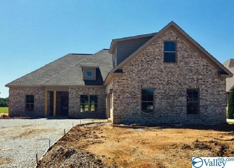 4213 Ruby Pointe Dr, Decatur, AL 35603 photo 1