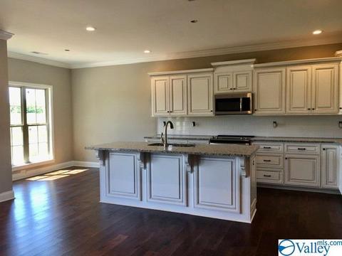 4213 Ruby Pointe Dr, Decatur, AL 35603 photo 5