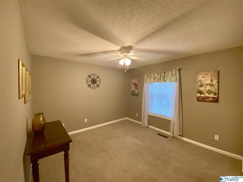 335 Ray St, Centre, AL 35960 photo 29
