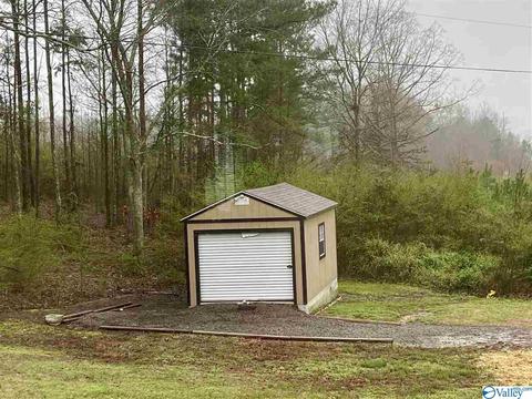 335 Ray St, Centre, AL 35960 photo 42