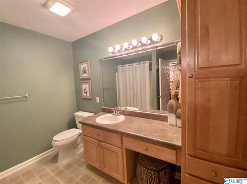 335 Ray St, Centre, AL 35960 photo 28