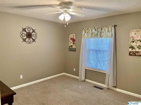 335 Ray St, Centre, AL 35960 photo 31