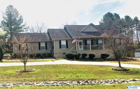 335 Ray St, Centre, AL 35960 photo 1