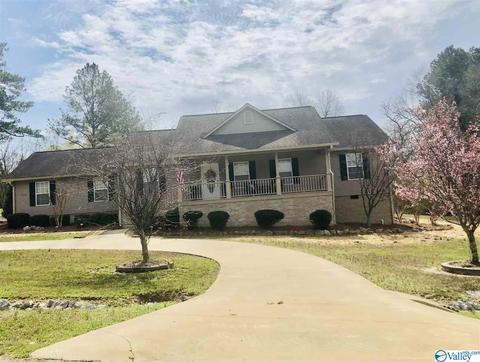 335 Ray St, Centre, AL 35960 photo 50