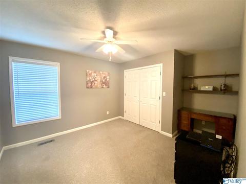 335 Ray St, Centre, AL 35960 photo 37