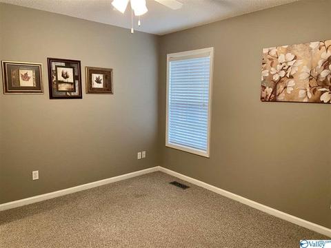 335 Ray St, Centre, AL 35960 photo 30