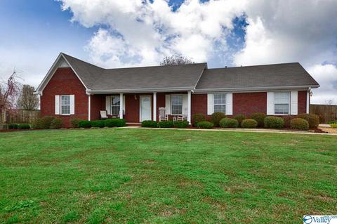 558 Belview Dr, Killen, AL 35645 photo 1
