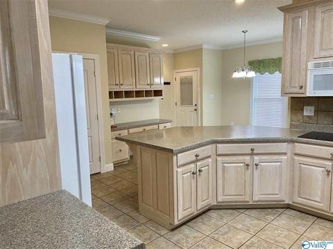 7 Forest Home Dr, Trinity, AL 35673 photo 5