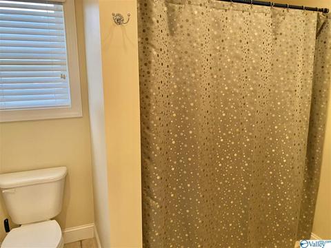 7 Forest Home Dr, Trinity, AL 35673 photo 21