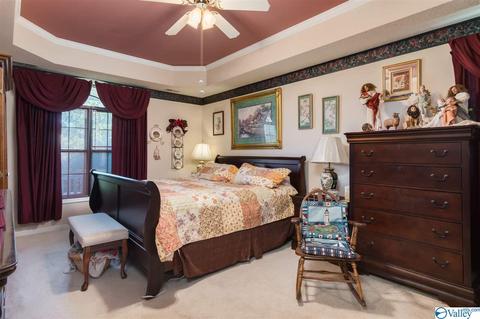 143 Dee Ann Rd, Trinity, AL 35673 photo 13