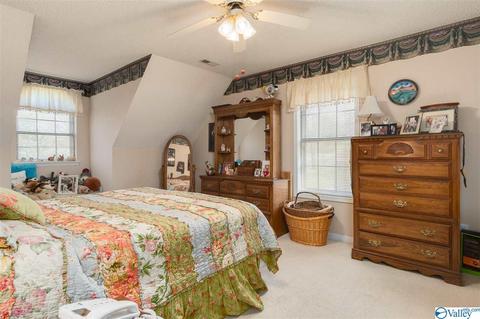 143 Dee Ann Rd, Trinity, AL 35673 photo 16