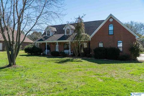 143 Dee Ann Rd, Trinity, AL 35673 photo 1