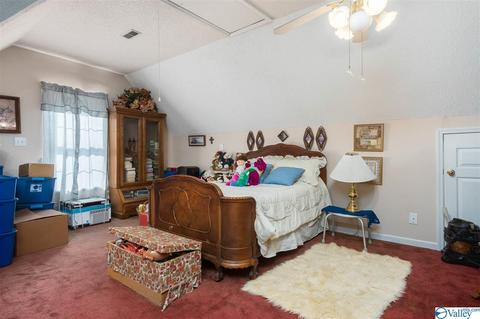 143 Dee Ann Rd, Trinity, AL 35673 photo 20