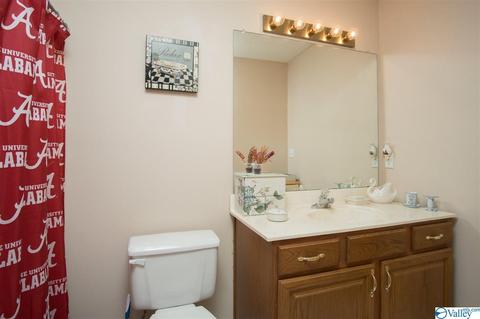 143 Dee Ann Rd, Trinity, AL 35673 photo 19