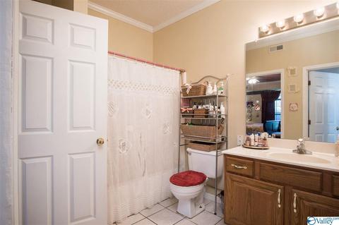 143 Dee Ann Rd, Trinity, AL 35673 photo 14