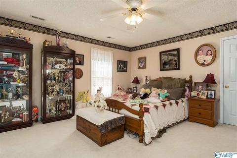143 Dee Ann Rd, Trinity, AL 35673 photo 17
