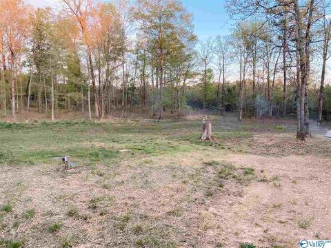 70 Quail Dr, Centre, AL 35960 photo 21