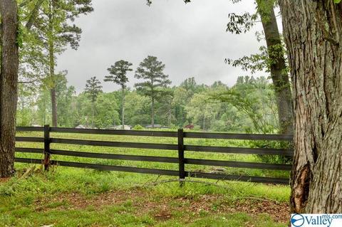 18 High St, Trinity, AL 35673 photo 4