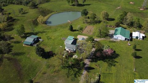 5445 County Road 38, Section, AL 35771 photo 42