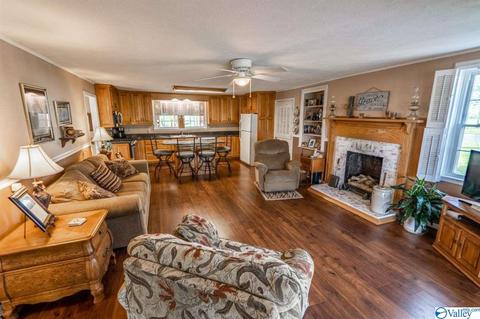 5445 County Road 38, Section, AL 35771 photo 10
