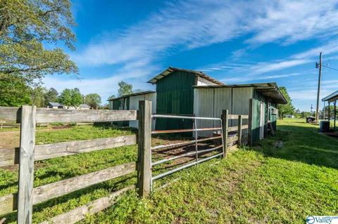5445 County Road 38, Section, AL 35771 photo 35