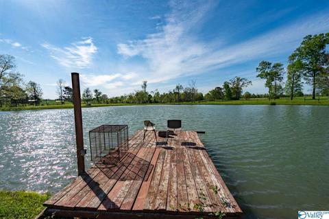 5445 County Road 38, Section, AL 35771 photo 8