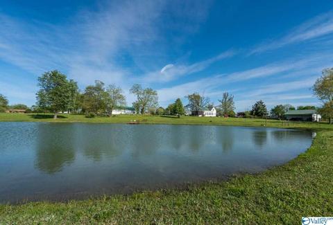 5445 County Road 38, Section, AL 35771 photo 9