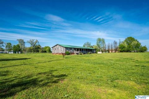 5445 County Road 38, Section, AL 35771 photo 41