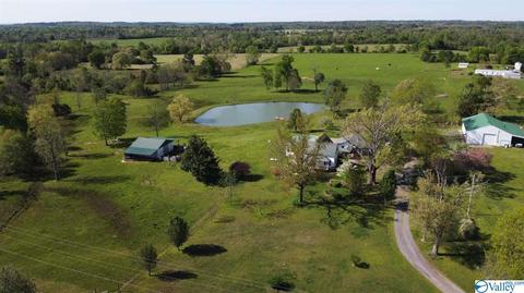 5445 County Road 38, Section, AL 35771 photo 6