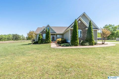 52 Bryan Dr, Fyffe, AL 35971 photo 38