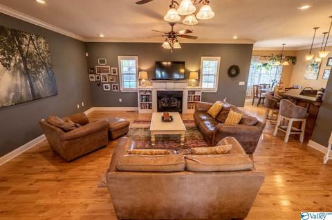52 Bryan Dr, Fyffe, AL 35971 photo 3