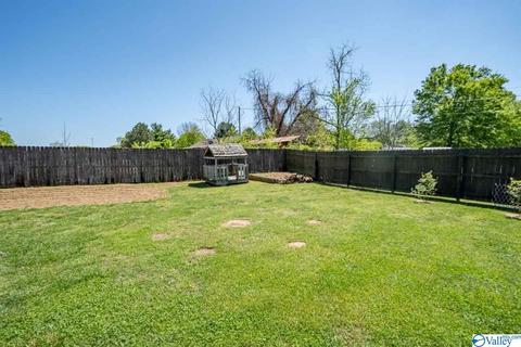 52 Bryan Dr, Fyffe, AL 35971 photo 47