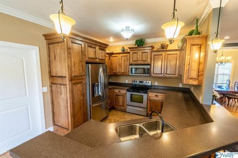 52 Bryan Dr, Fyffe, AL 35971 photo 11