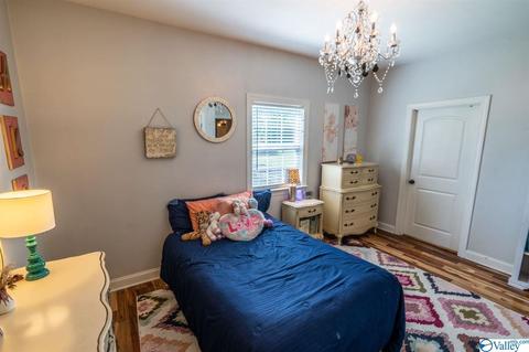 52 Bryan Dr, Fyffe, AL 35971 photo 28