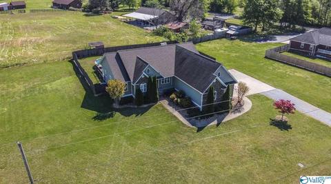 52 Bryan Dr, Fyffe, AL 35971 photo 42