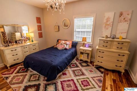 52 Bryan Dr, Fyffe, AL 35971 photo 27