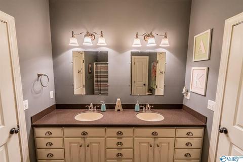 52 Bryan Dr, Fyffe, AL 35971 photo 24