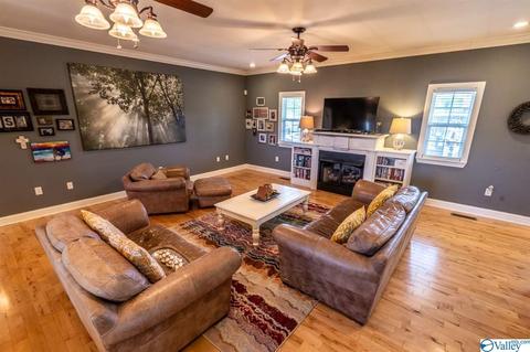 52 Bryan Dr, Fyffe, AL 35971 photo 4