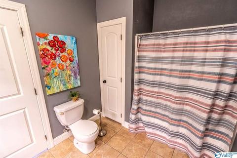 52 Bryan Dr, Fyffe, AL 35971 photo 25