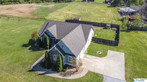 52 Bryan Dr, Fyffe, AL 35971 photo 41