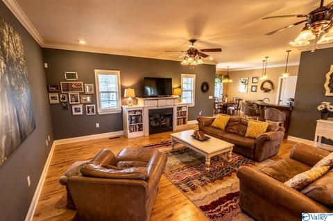 52 Bryan Dr, Fyffe, AL 35971 photo 6